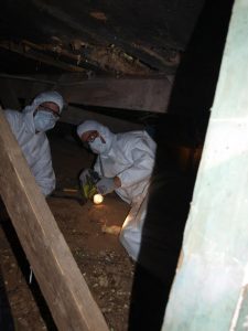 Photo of Crawl Space