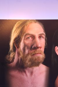 Photo of an early hominid