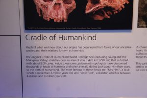 Photo of Museum Exhibit.